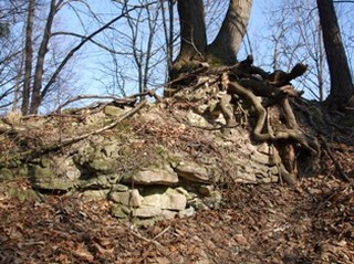 Image (6)