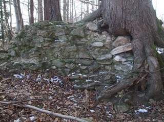 Image (7)
